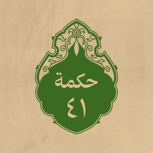 الحكمة 41 